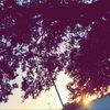 indra_01